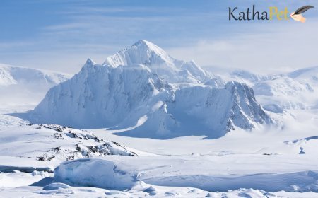 Why Antarctica Is the World’s Largest Desert — And It’s Not What You Think